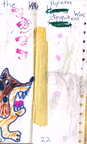 Cheetor story 12