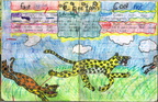 Cheetahs