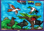 Ducks5