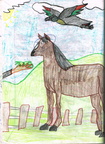 Horse