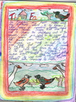Story - The Farm