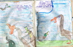 Story of Malar 24