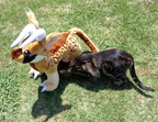 Leera and Biddy