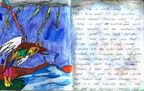 Combined Dingo page 20