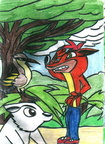 Crash and Polar