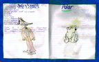 Character - Polar