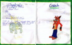 Character - Crash