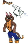 Dingo