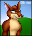 dingo
