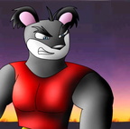 koala kong (2)
