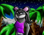 Koala Kaycey better