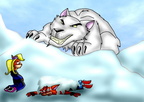 Polar Bear Crash and Coco