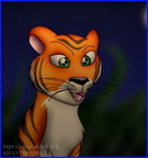 Pura the Tiger