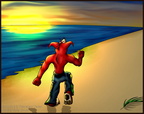 Along the Coast