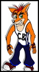 Crash new
