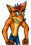 Crash twinsanity look