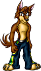 Dingo