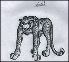Cheetah sketch