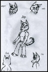 Dingo  random expressions
