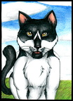 Blackie