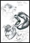 Korzo Sketches