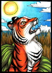 Orange Tiger