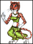 Quoll trad