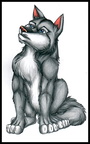 Random Wolf