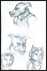 Real Anthros2