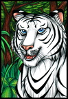 White Tiger new