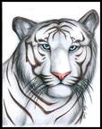 White Tiger