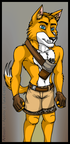 Apollo Dingo