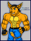 Contest-Rocket Lombax