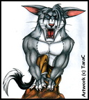 Anthro Bilby