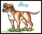 Bluey