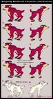 Burgundy Bandicoot Variations