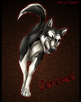 Jerome