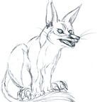 Half Evolved Bilby