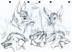 Sketch - Bilbies and bandicoots