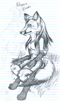 Sketch - Kitsense