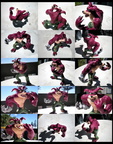 Adult Crunch Sculpt Photo Snaps