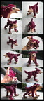 Brutor Bandicoot Photo shots