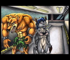 Competition - Tiny and Hbutan