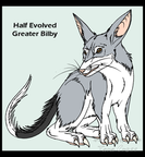 Half evolved Greater Bilby