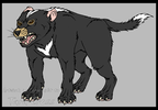 Half evolved Tasmanian Devil