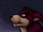 Crunch and the stars