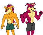 Ridge and Brute