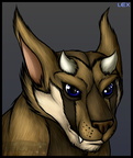 Headshot - Lex