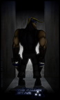 The Fallen Star Poster