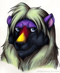 Commission - Plum